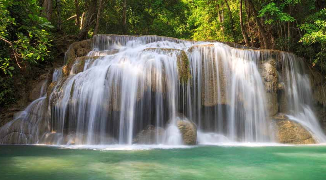 Ty Ni Nhat Dung 2